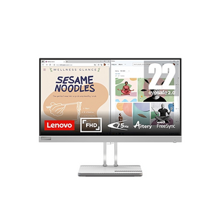 Lenovo BB-LNV1100012 L22e 21.5″ FHD Monitor HDMI VGA Price in Dubai UAE