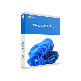Microsoft EE-MST1100030 (FQC-10528) Windows 11 Pro 64Bit Eng Intl 1pk DSP OEI DVD Price in Dubai UAE