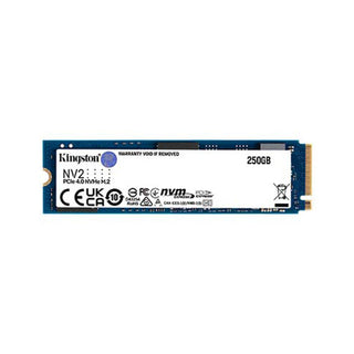 Kingston SNV2S/250G 250G NV2 M.2 2280 NVMe SSD Price In Dubai UAE